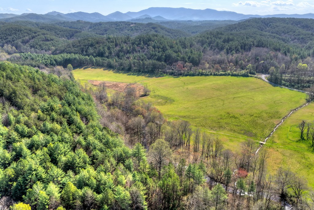 626 Brush Creek Road Copperhill, TN 37317 - Photo 4 of 60