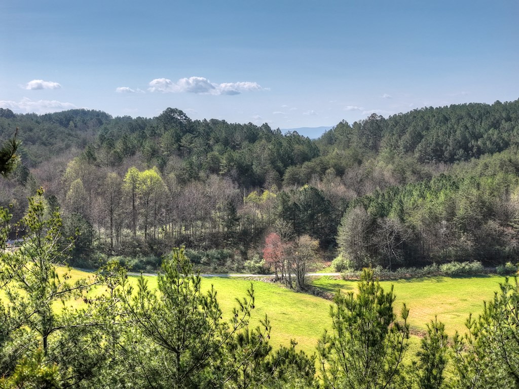 626 Brush Creek Road Copperhill, TN 37317 - Photo 41 of 60