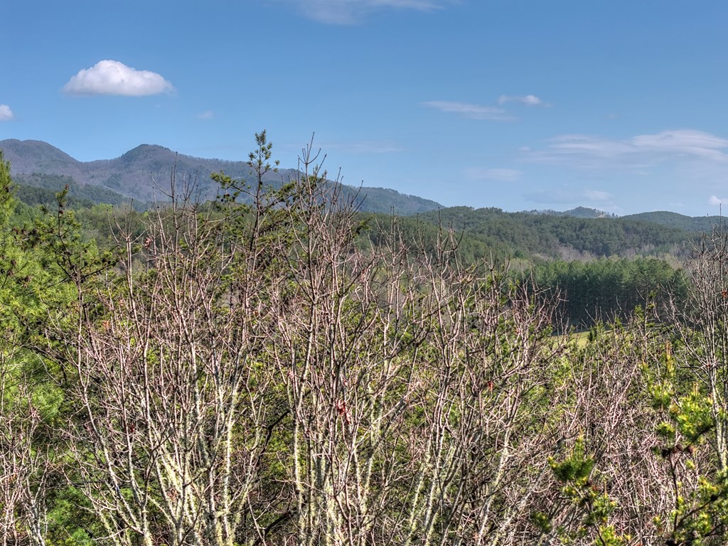 626 Brush Creek Road Copperhill, TN 37317 - Photo 42 of 60