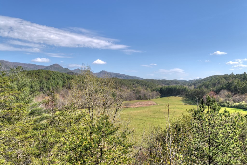 626 Brush Creek Road Copperhill, TN 37317 - Photo 43 of 60