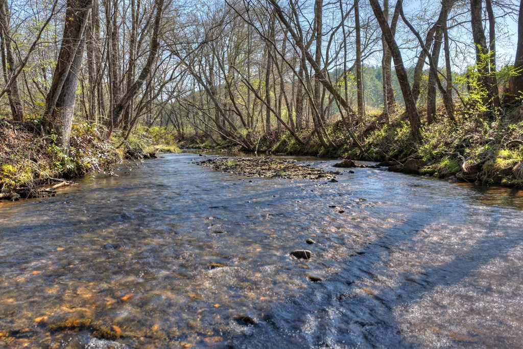 626 Brush Creek Road Copperhill, TN 37317 - Photo 44 of 60