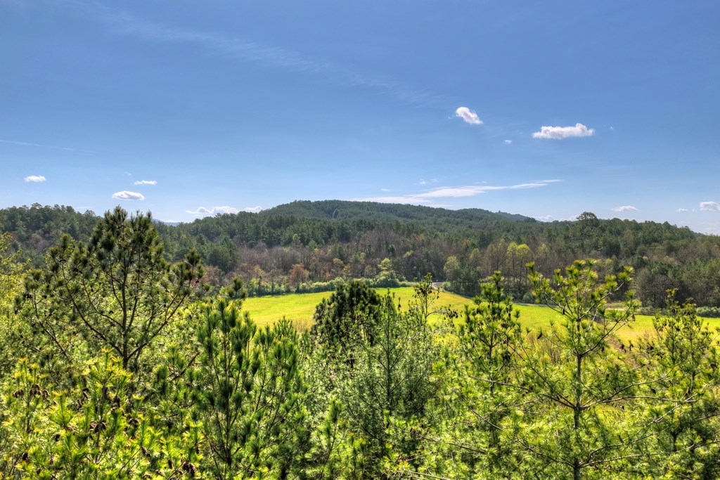 626 Brush Creek Road Copperhill, TN 37317 - Photo 46 of 60