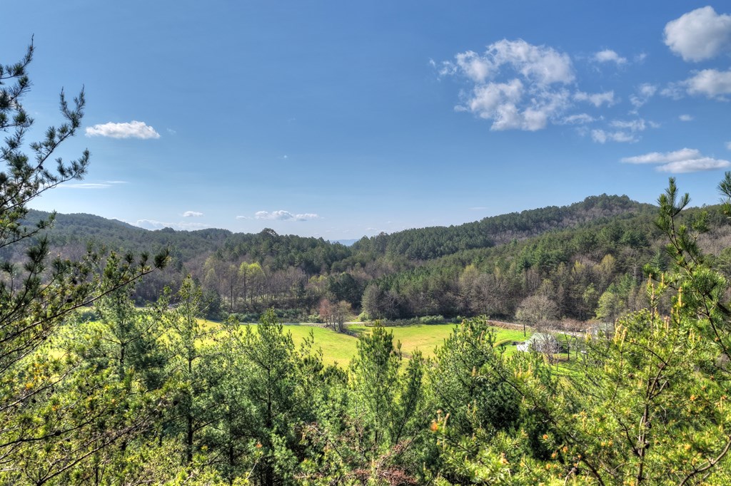 626 Brush Creek Road Copperhill, TN 37317 - Photo 48 of 60