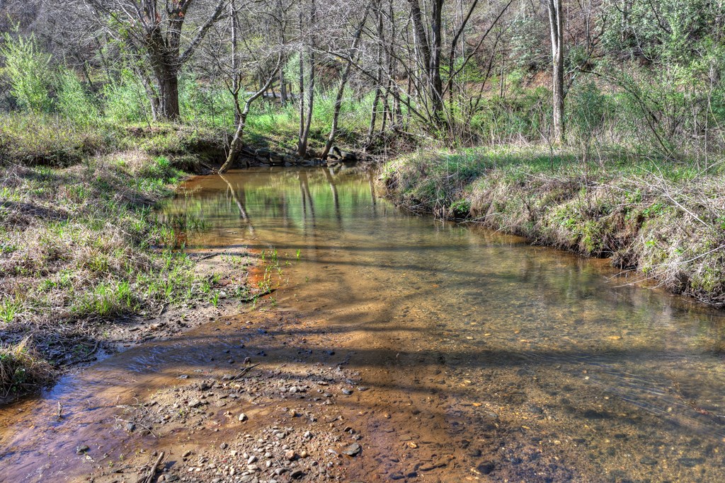 626 Brush Creek Road Copperhill, TN 37317 - Photo 49 of 60