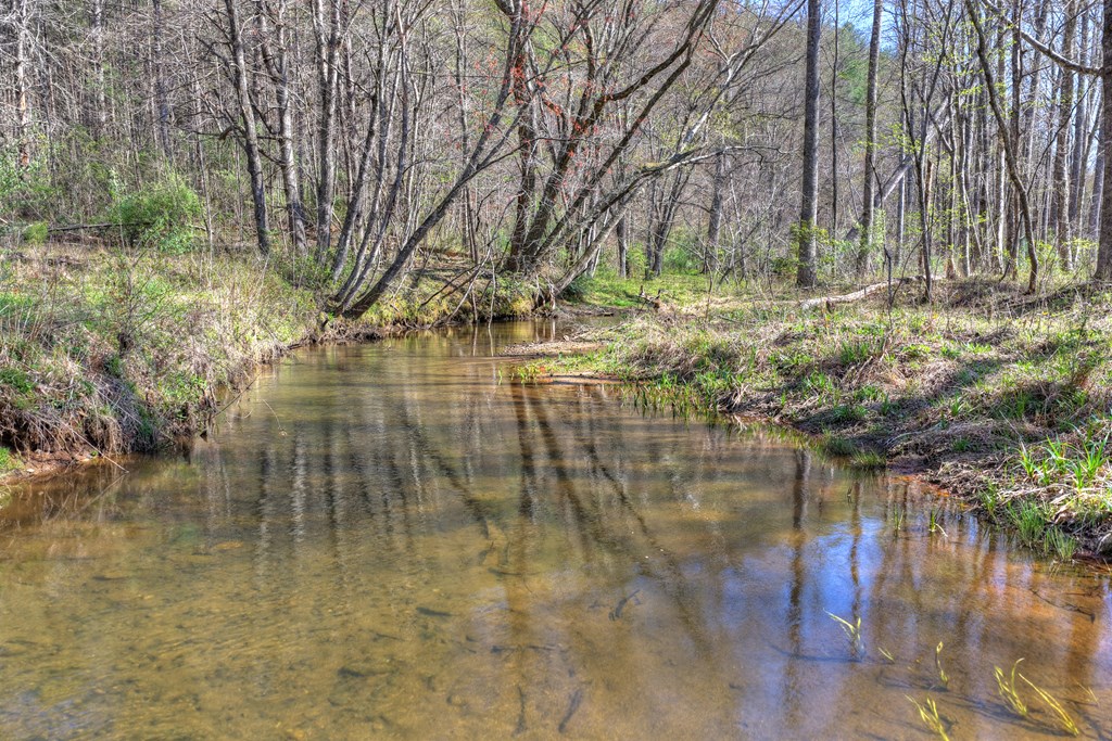 626 Brush Creek Road Copperhill, TN 37317 - Photo 50 of 60