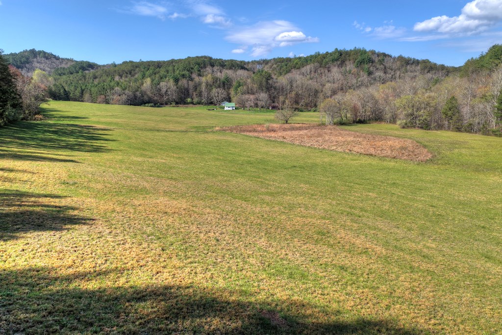 626 Brush Creek Road Copperhill, TN 37317 - Photo 5 of 60