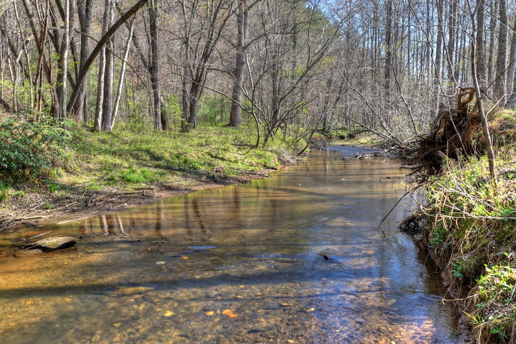 626 Brush Creek Road Copperhill, TN 37317 - Photo 51 of 60