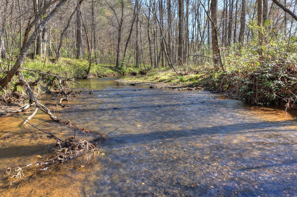 626 Brush Creek Road Copperhill, TN 37317 - Photo 52 of 60