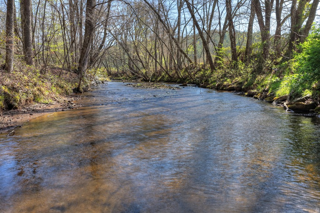 626 Brush Creek Road Copperhill, TN 37317 - Photo 53 of 60