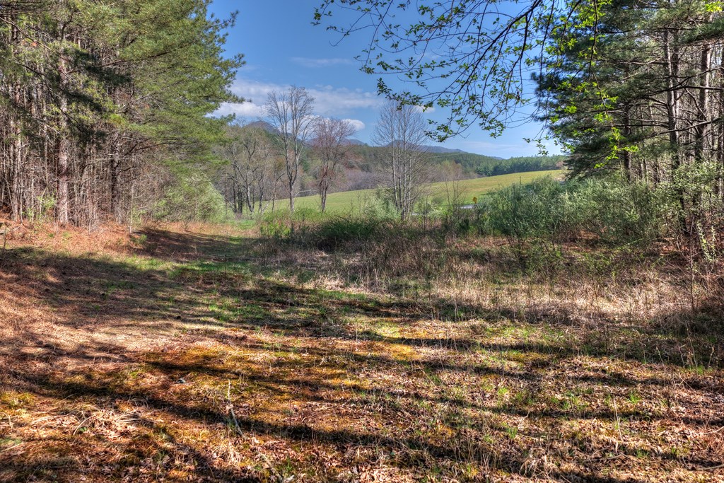 626 Brush Creek Road Copperhill, TN 37317 - Photo 54 of 60