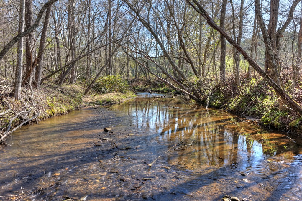 626 Brush Creek Road Copperhill, TN 37317 - Photo 55 of 60