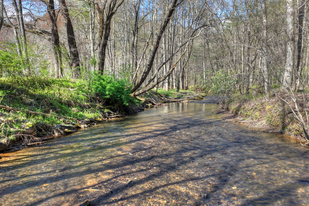 626 Brush Creek Road Copperhill, TN 37317 - Photo 56 of 60