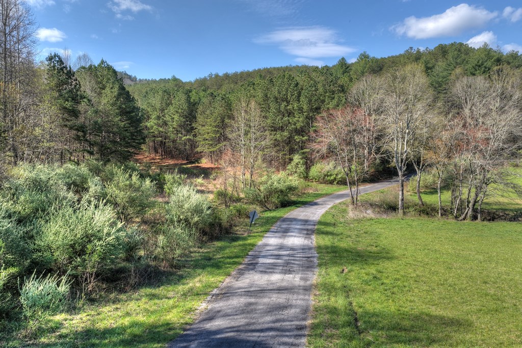 626 Brush Creek Road Copperhill, TN 37317 - Photo 57 of 60