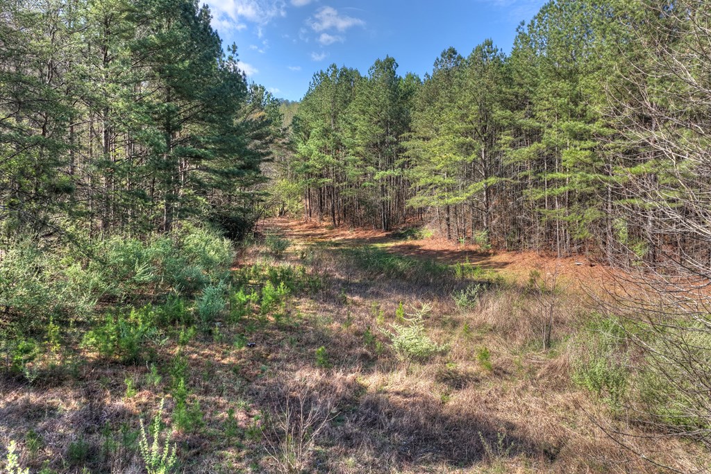 626 Brush Creek Road Copperhill, TN 37317 - Photo 58 of 60