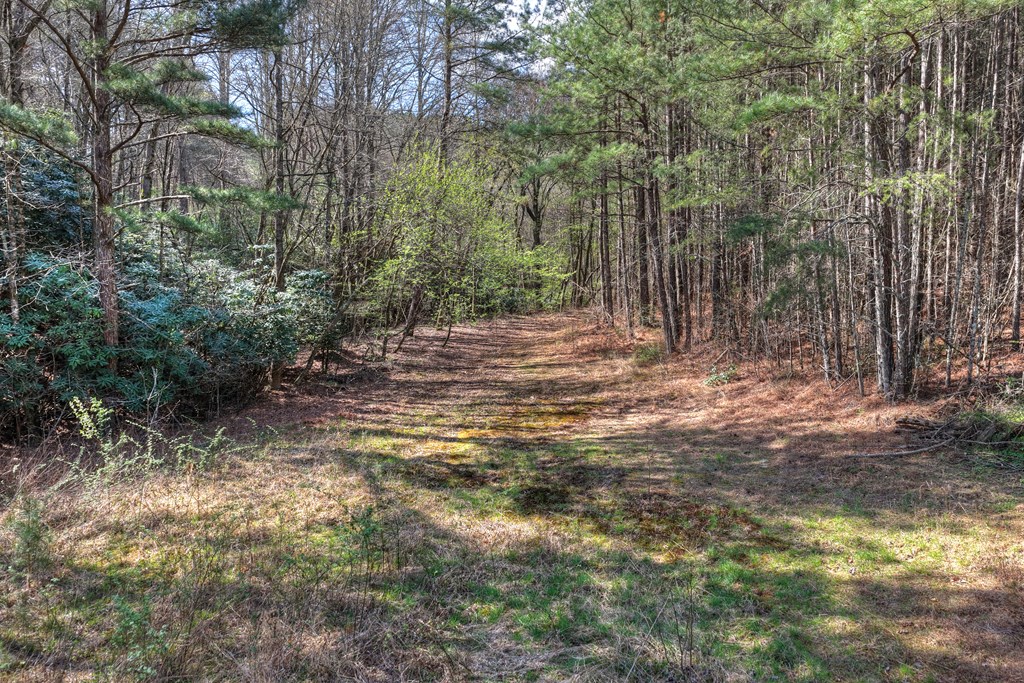 626 Brush Creek Road Copperhill, TN 37317 - Photo 59 of 60