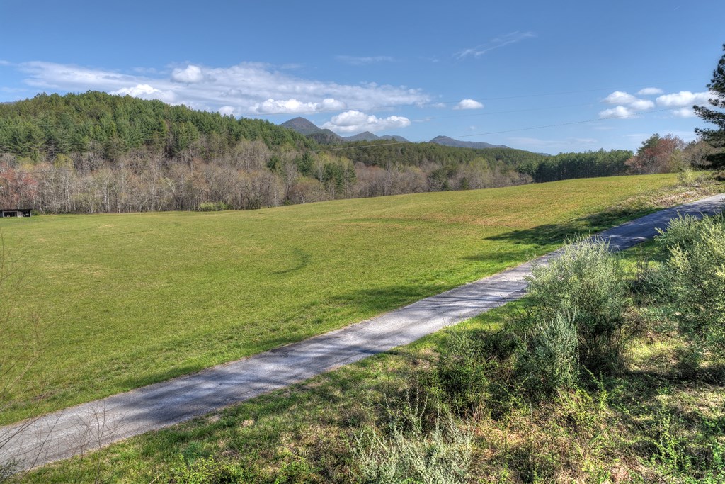 626 Brush Creek Road Copperhill, TN 37317 - Photo 60 of 60