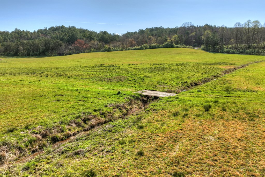 626 Brush Creek Road Copperhill, TN 37317 - Photo 6 of 60