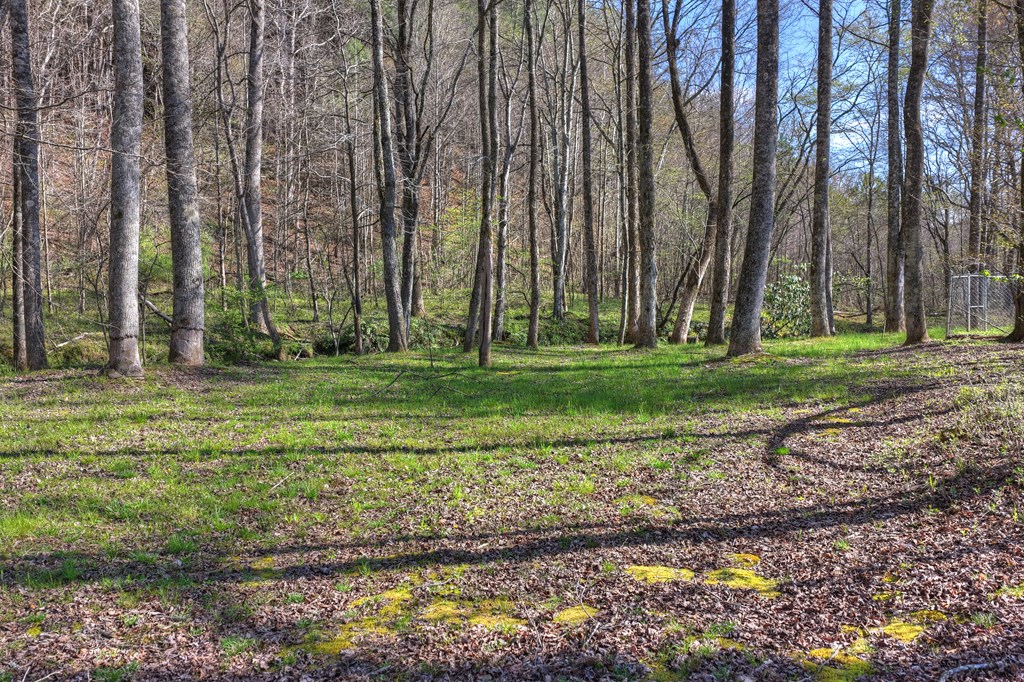 626 Brush Creek Road Copperhill, TN 37317 - Photo 7 of 60