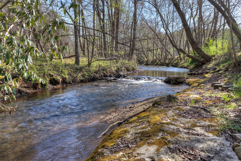 626 Brush Creek Road Copperhill, TN 37317 - Photo 8 of 60