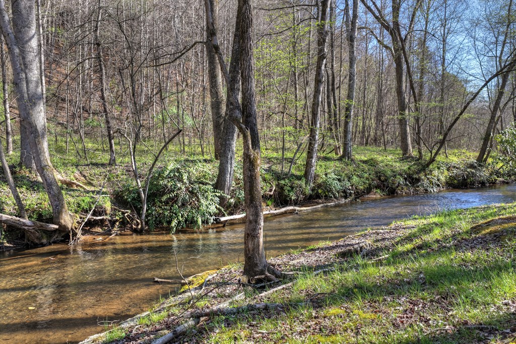626 Brush Creek Road Copperhill, TN 37317 - Photo 10 of 60