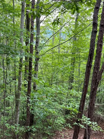 $28,000 | 527-4 Farmers Top Drive, Murphy, NC 28906