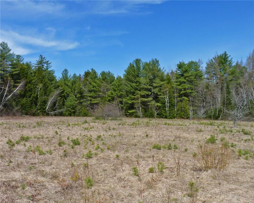 1342 Otis Road Otis, ME 04605 - Photo 5 of 24 Home sits on 9.87 wooded acres.