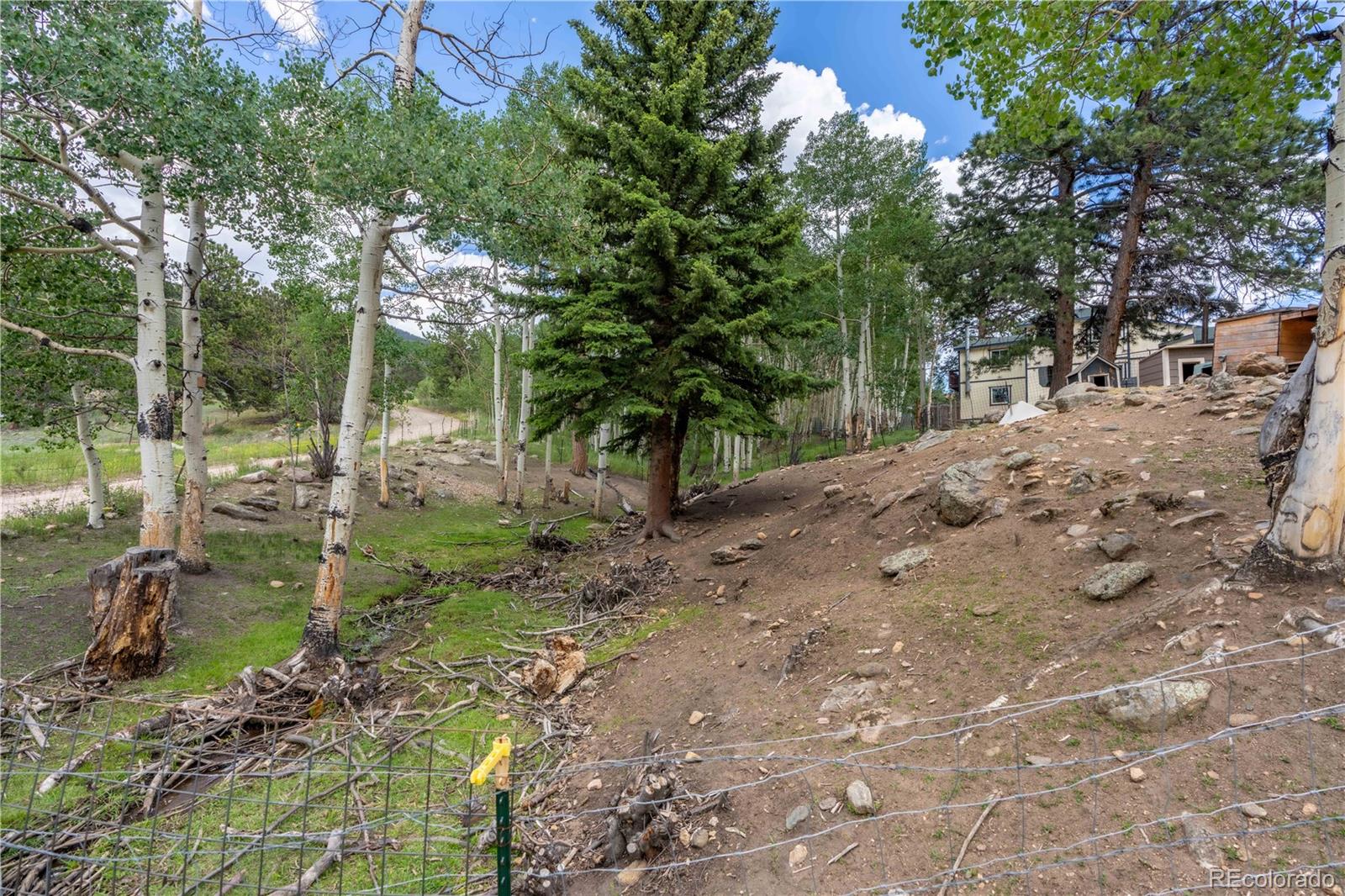 109 Heide Road Shawnee, CO 80475 - Photo 24 of 34