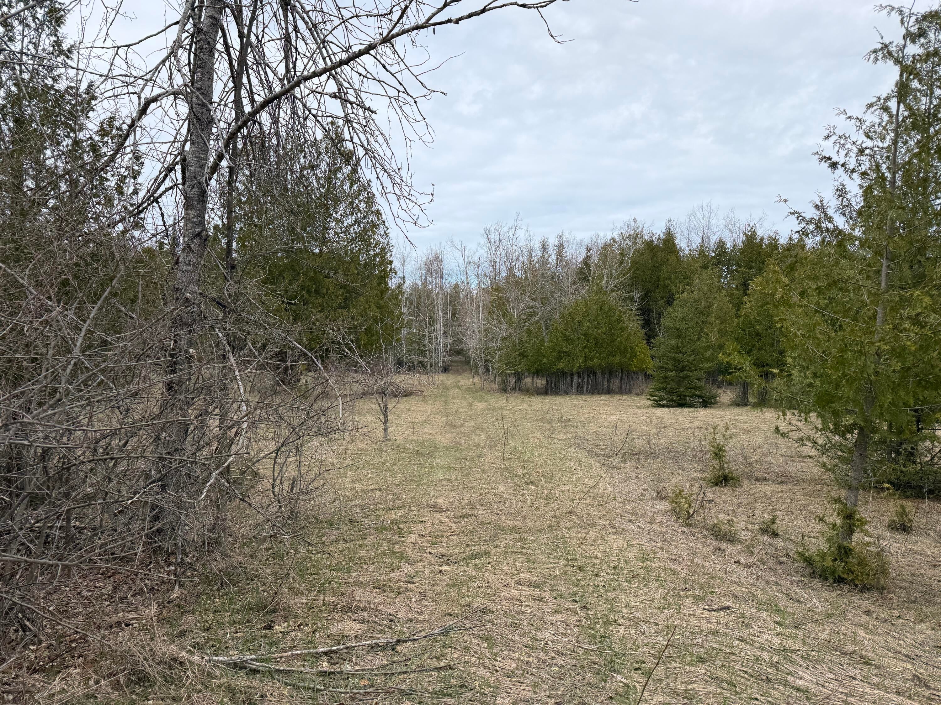 9625 Bolton Road Posen, MI 49776 - Photo 41 of 61