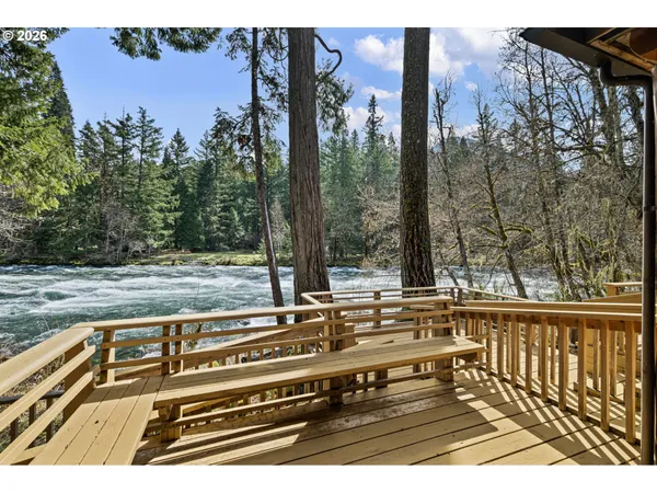 a view of a yard with trees