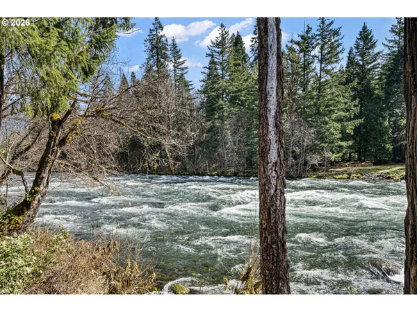 a view of a house with backyard and garden