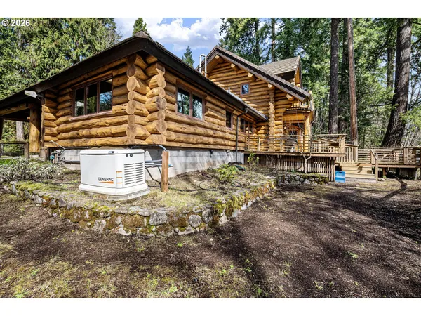 a view of a yard with plants and tree