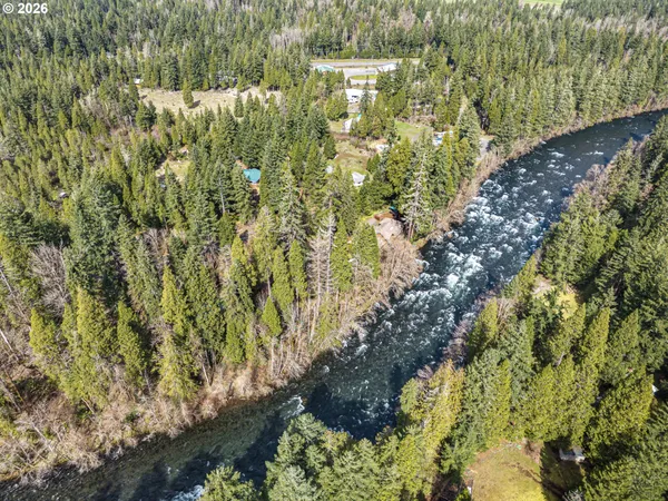a plant that is sitting in a garden