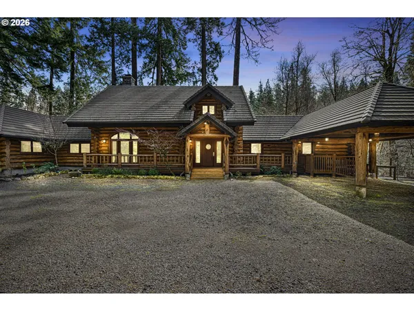 a view of a tree in a backyard