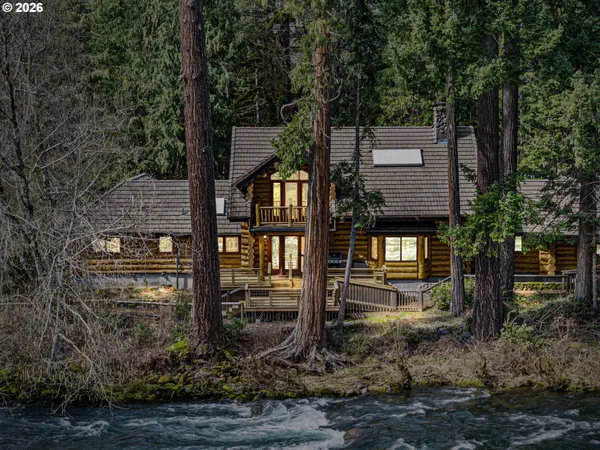 a close up of a plant in a garden