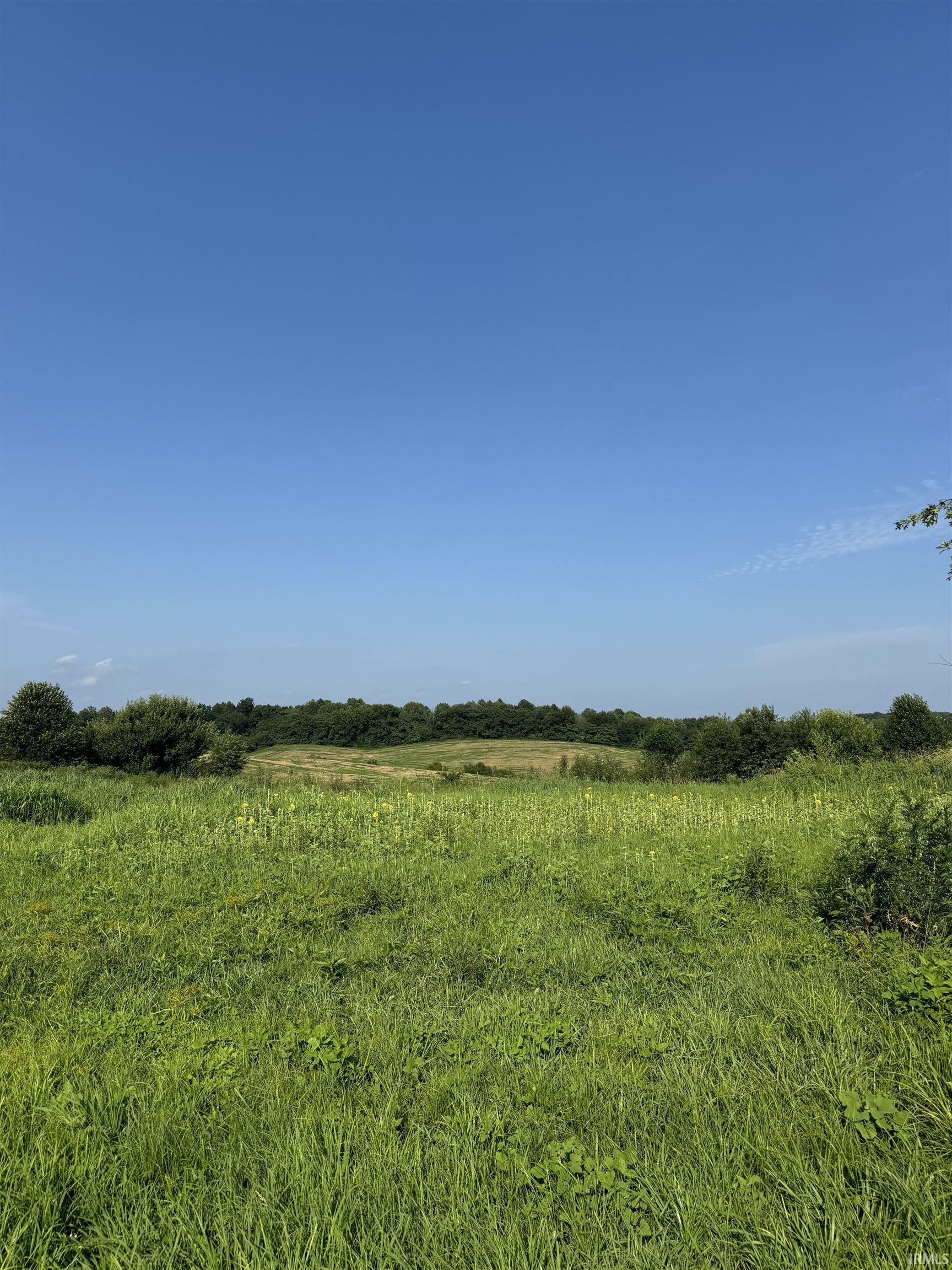 8311 North 700 Street Evanston, IN 47531 - Photo 7 of 7