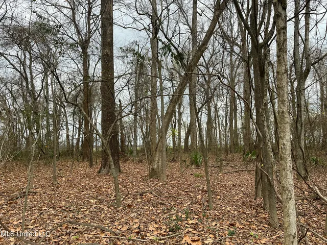 $17,000 | Par Road, Ferriday, LA 71334