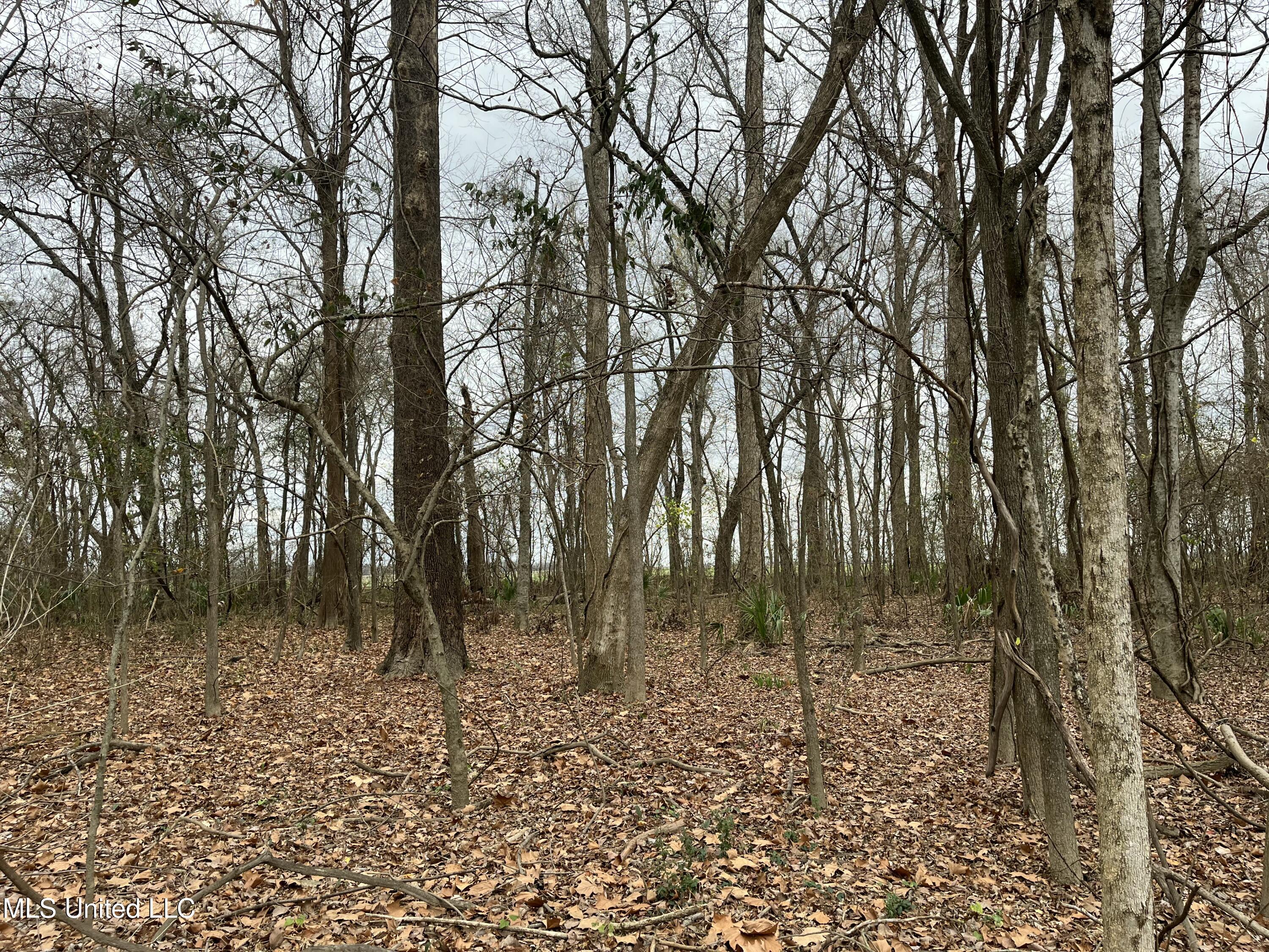 Par Road Ferriday, LA 71334 - Photo 3 of 10 IMG_2696