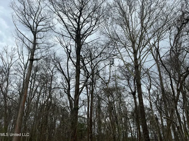 $17,000 | Par Road, Ferriday, LA 71334