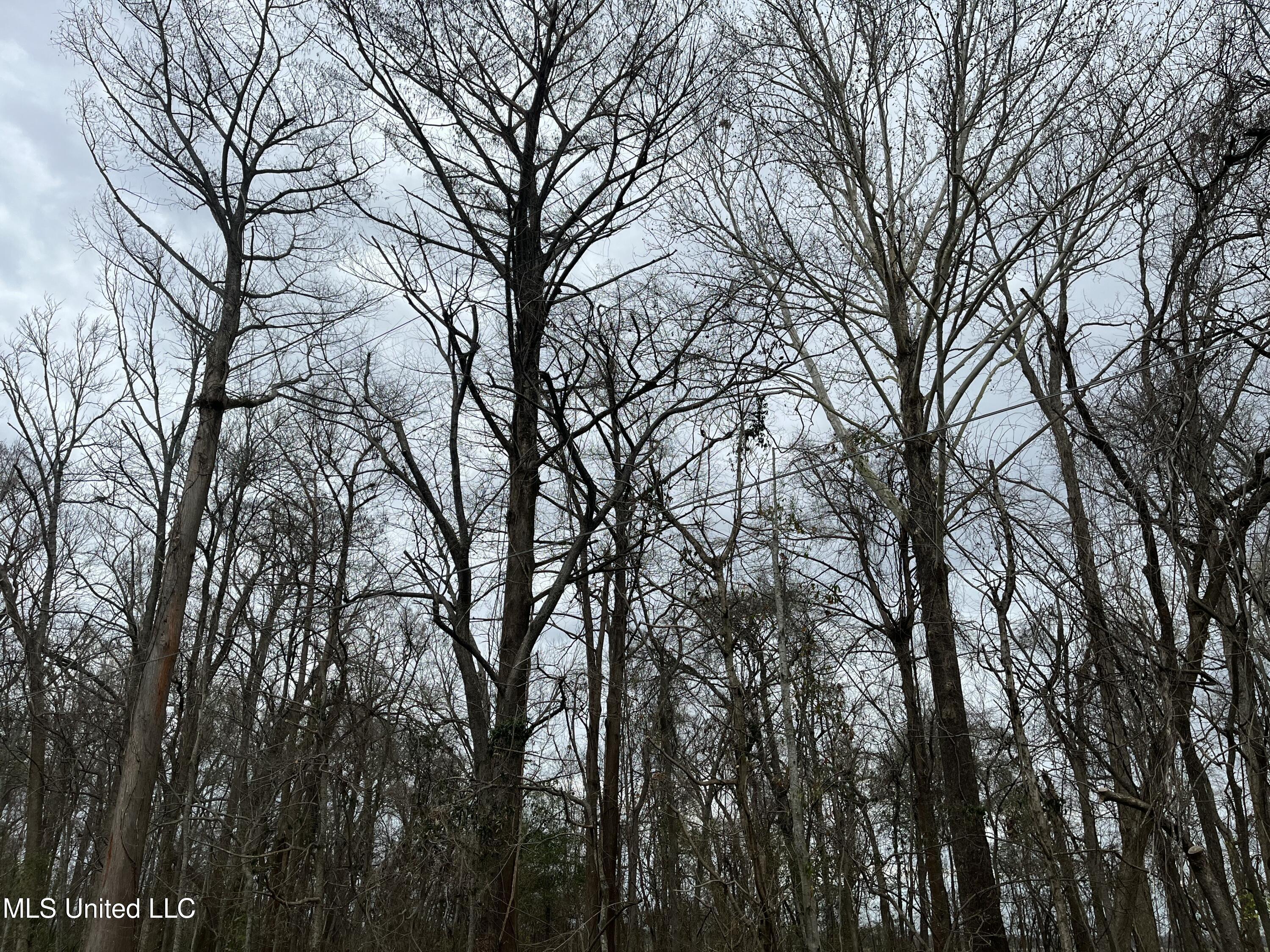 Par Road Ferriday, LA 71334 - Photo 4 of 10 IMG_2695 3