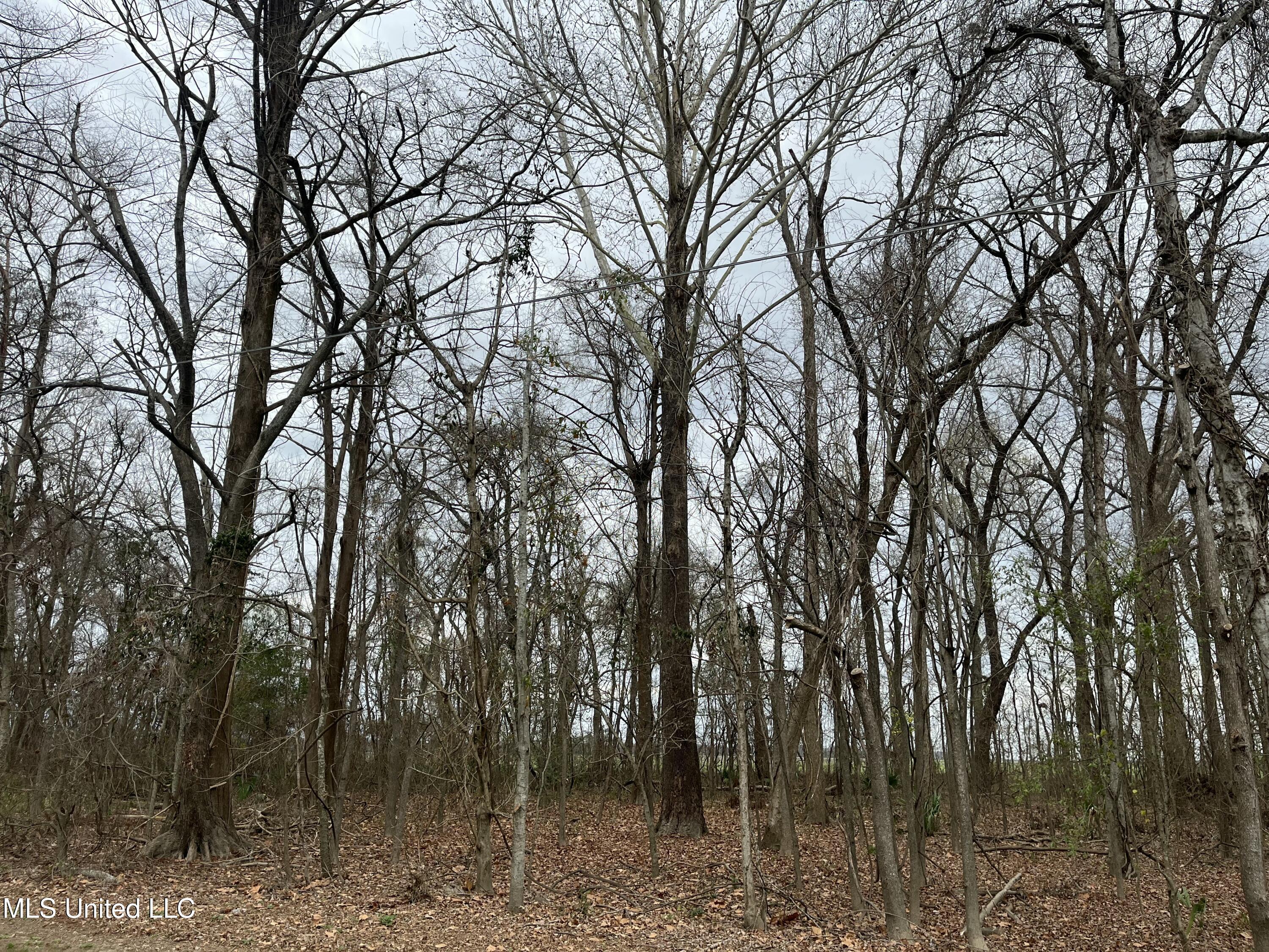 Par Road Ferriday, LA 71334 - Photo 5 of 10 IMG_2694 2