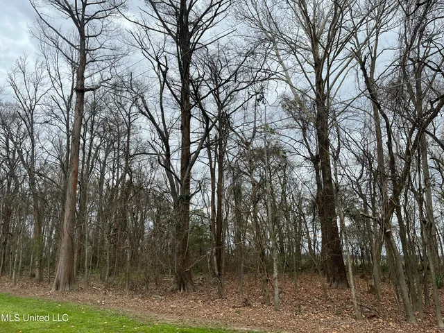 $17,000 | Par Road, Ferriday, LA 71334