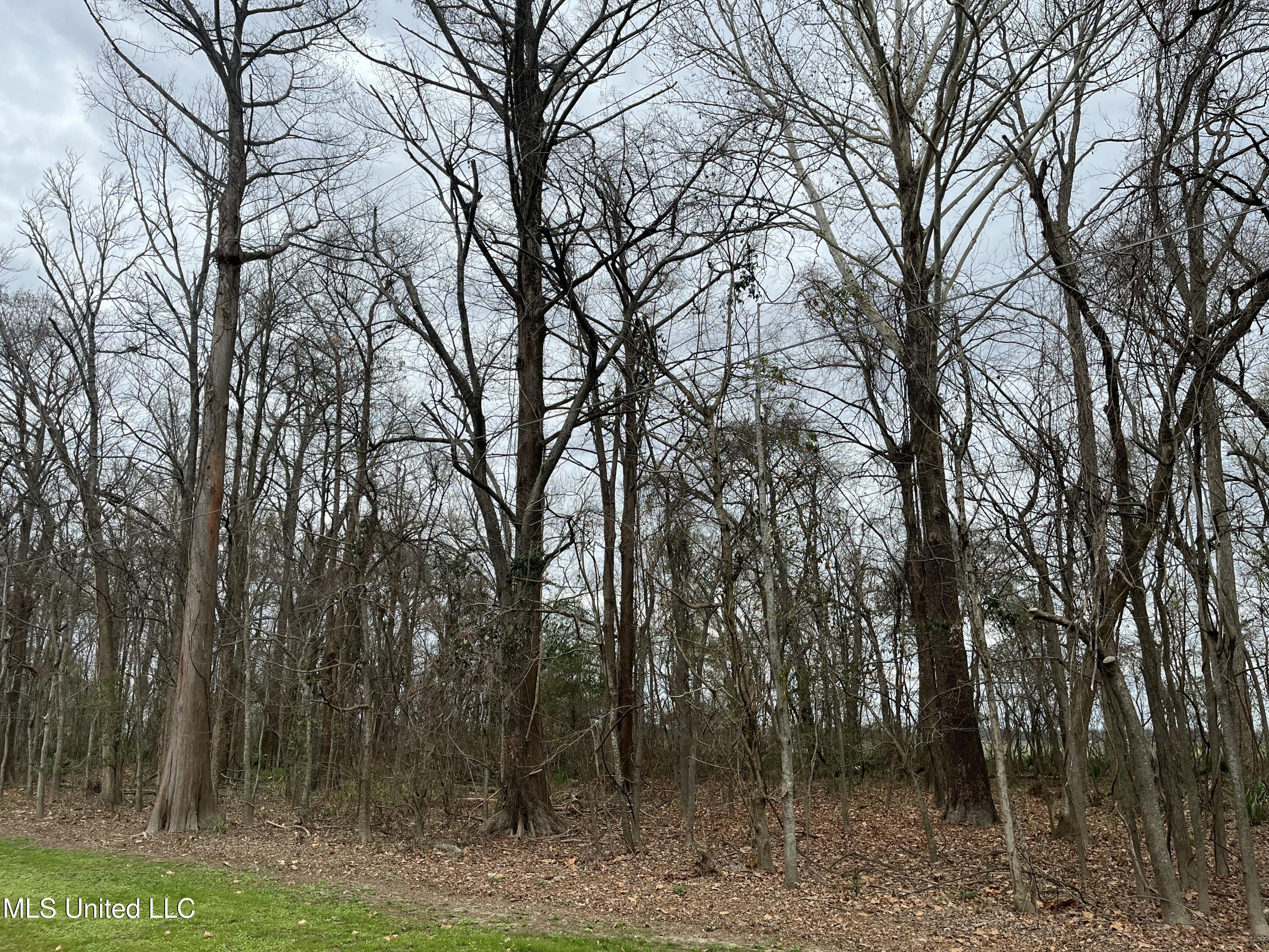 Par Road Ferriday, LA 71334 - Photo 6 of 10 IMG_2693 2