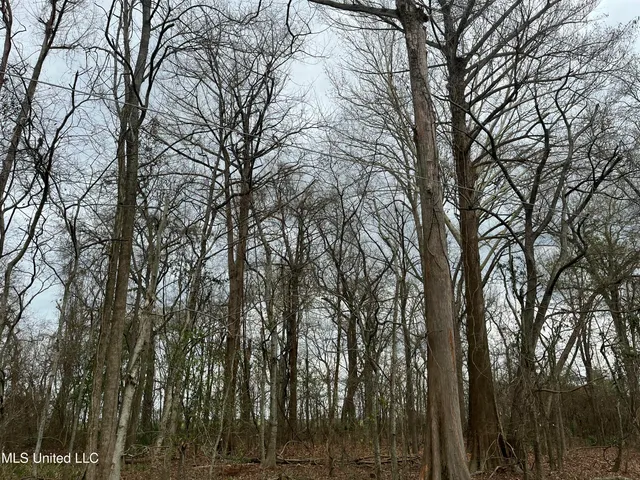 $17,000 | Par Road, Ferriday, LA 71334