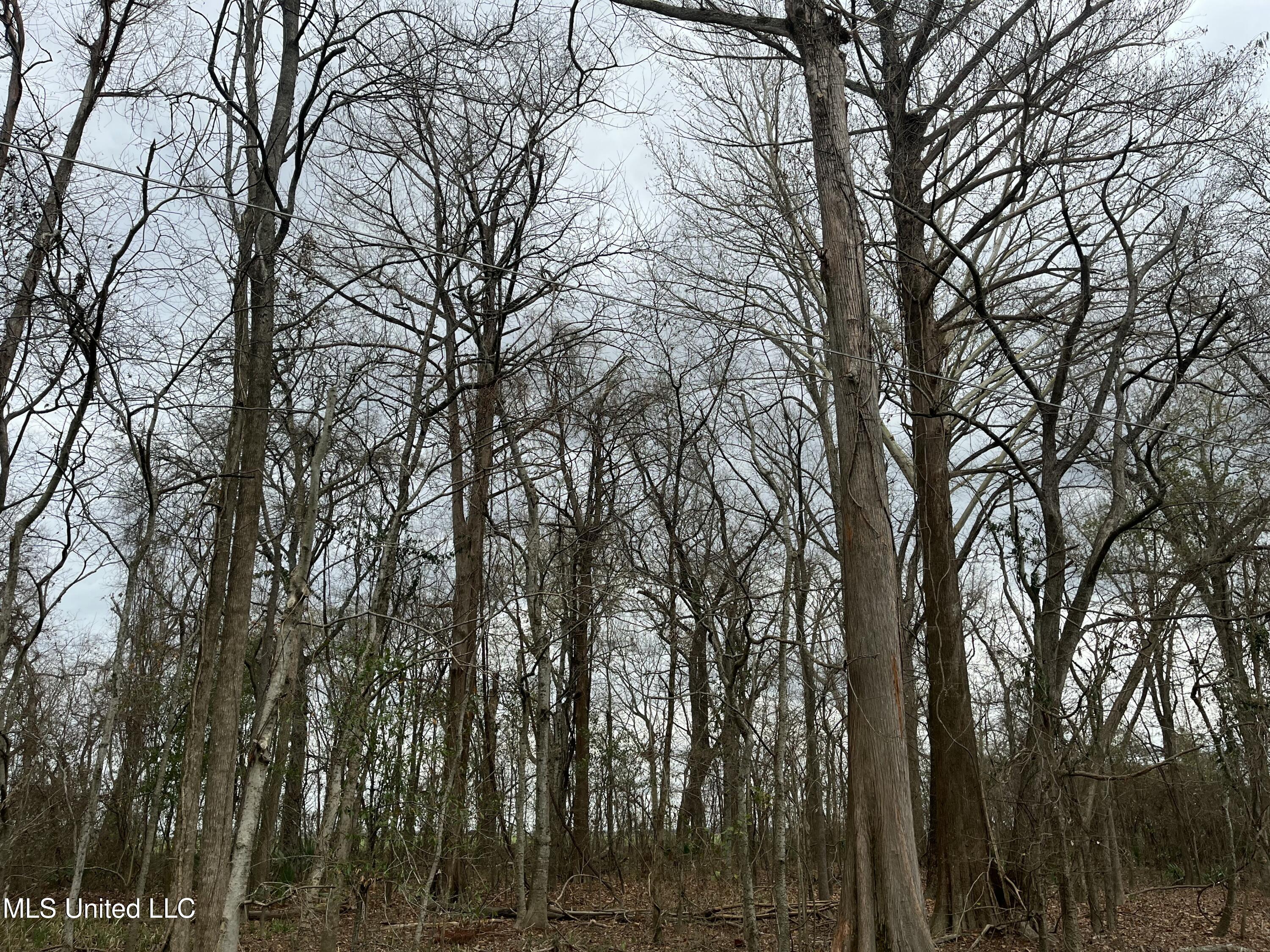 Par Road Ferriday, LA 71334 - Photo 7 of 10 IMG_2692 2