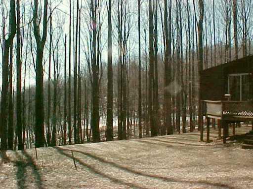 402 Matson Road Ligonier, PA 15658 - Photo 7 of 7 Yard/Garden.