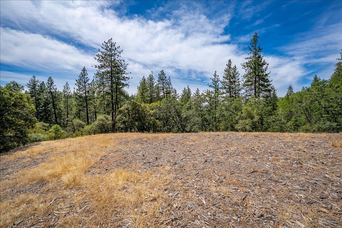22600 Plumtree Road Colfax, CA 95713 - Photo 17 of 37