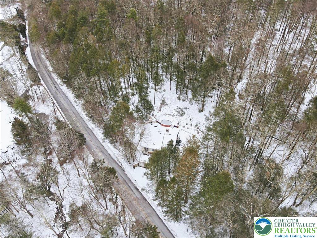 172 Evergreen Hollow Road Effort, PA 18330 - Photo 64 of 70 a picture of tree with house in the background