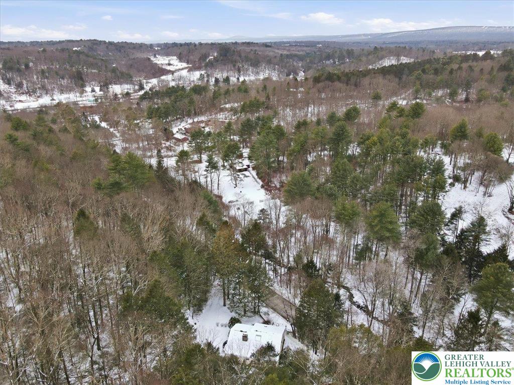 172 Evergreen Hollow Road Effort, PA 18330 - Photo 66 of 70