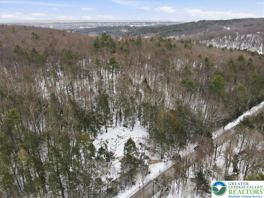 172 Evergreen Hollow Road Effort, PA 18330 - Photo 67 of 70