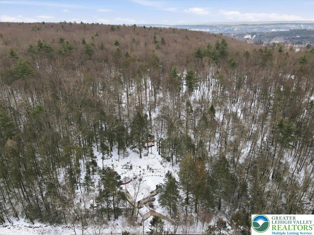 172 Evergreen Hollow Road Effort, PA 18330 - Photo 68 of 70 a view of mountain view with lots of trees